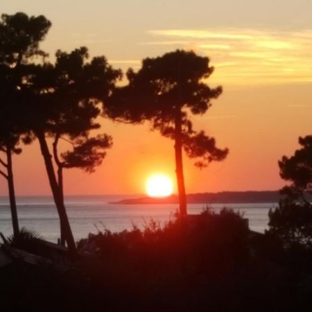 Chambre D'Hotes Pyla Sur Mer La Teste-de-Buch Eksteriør bilde