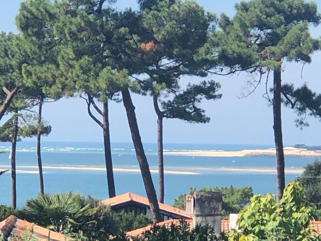 Chambre D'Hotes Pyla Sur Mer La Teste-de-Buch Eksteriør bilde